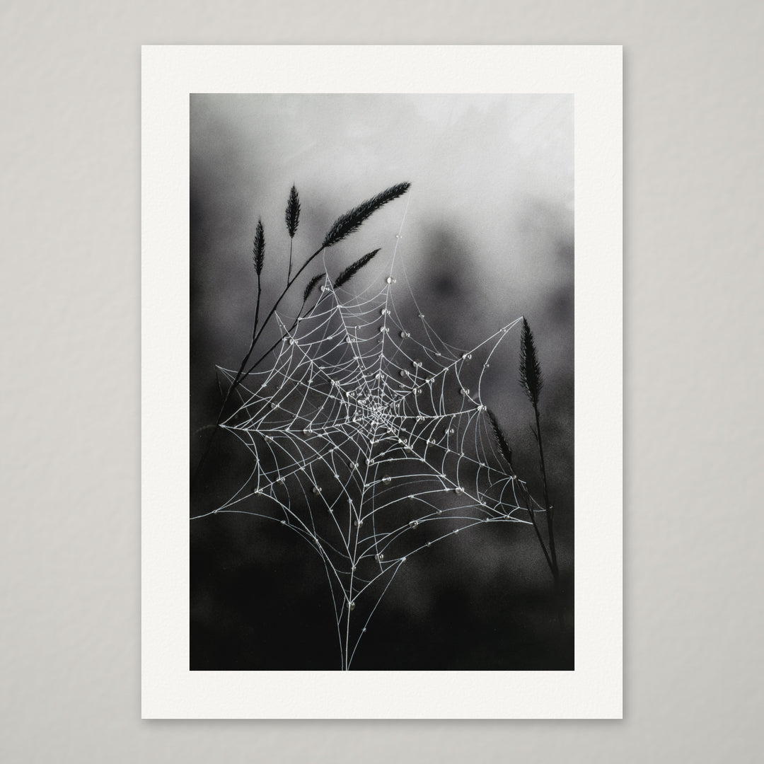 Fragile Beauty – Hand-Embellished Limited Edition on Watercolor Paper
