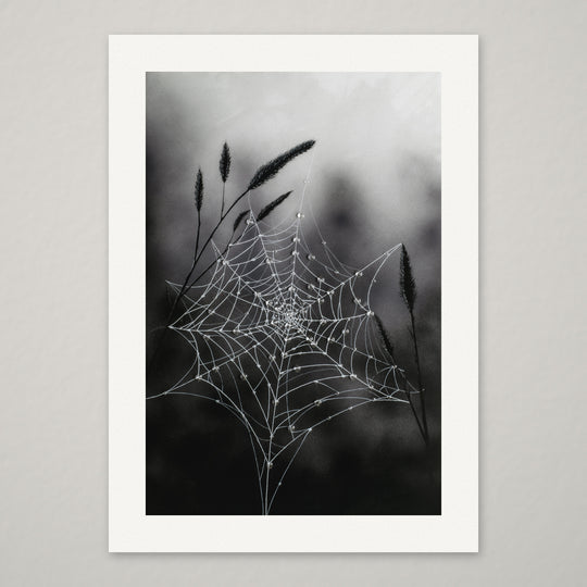 Fragile Beauty – Hand-Embellished Limited Edition on Watercolor Paper