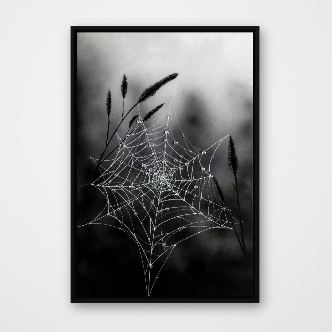 Fragile Beauty – Hand-Embellished Limited Edition on Canvas
