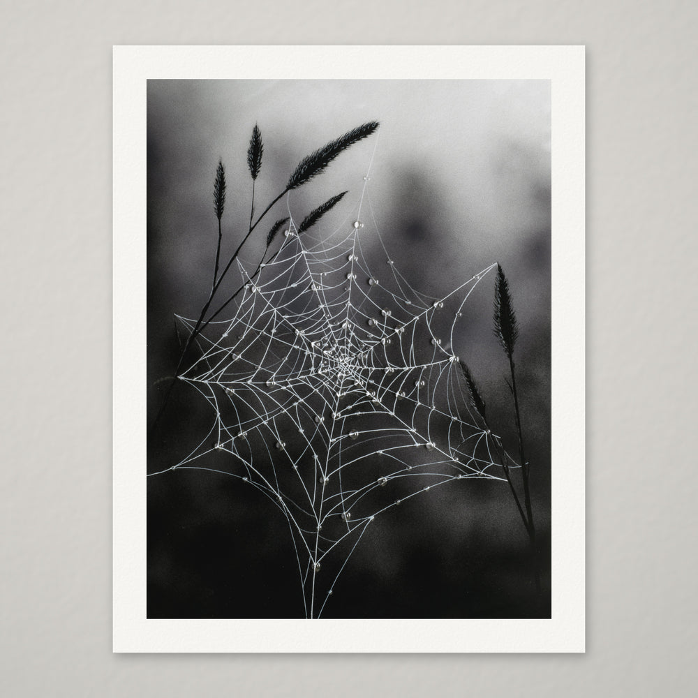 Fragile Beauty – Hand-Embellished Limited Edition on Watercolor Paper