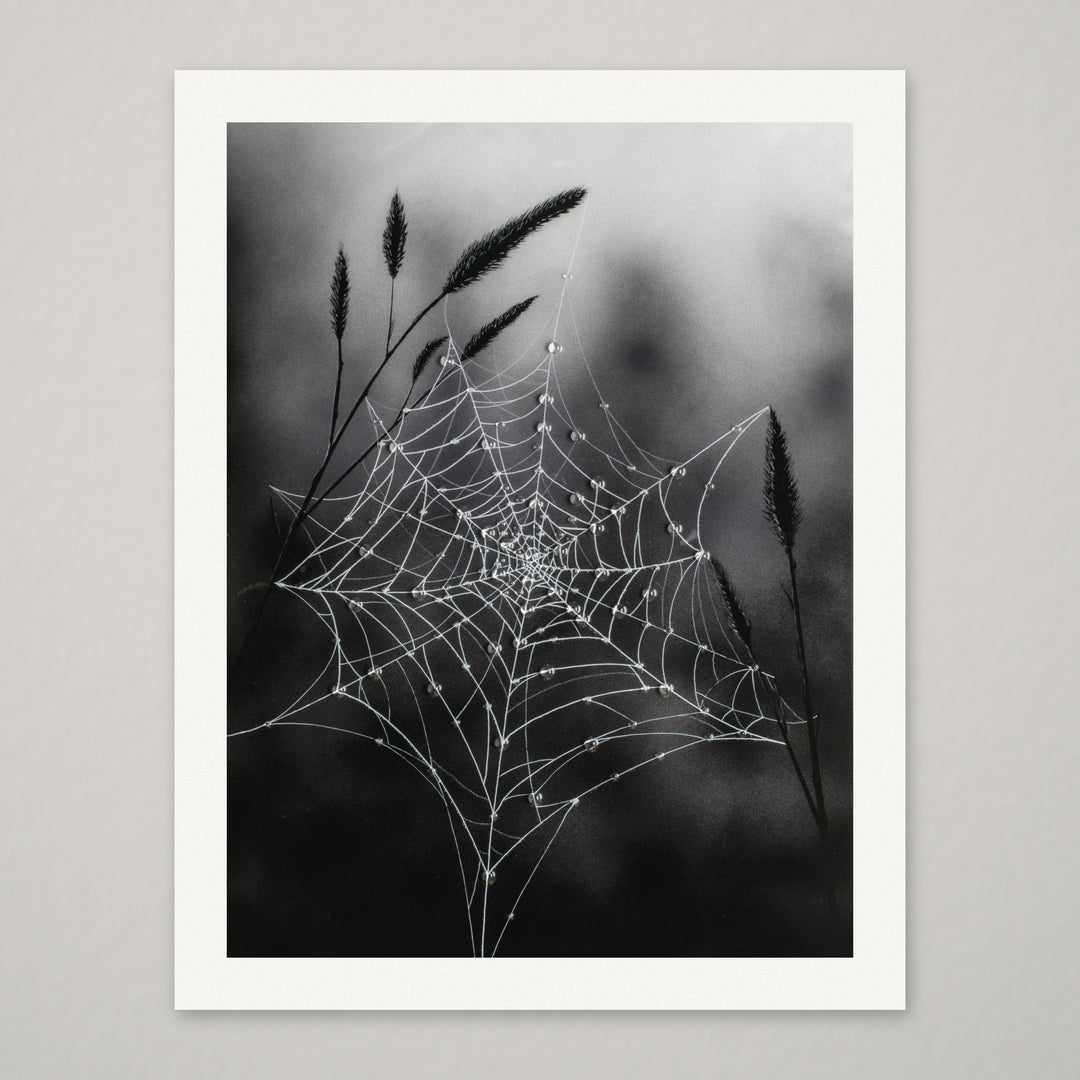 Fragile Beauty – Hand-Embellished Limited Edition on Watercolor Paper