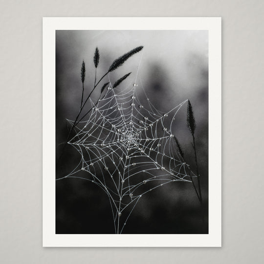 Fragile Beauty – Hand-Embellished Limited Edition on Watercolor Paper