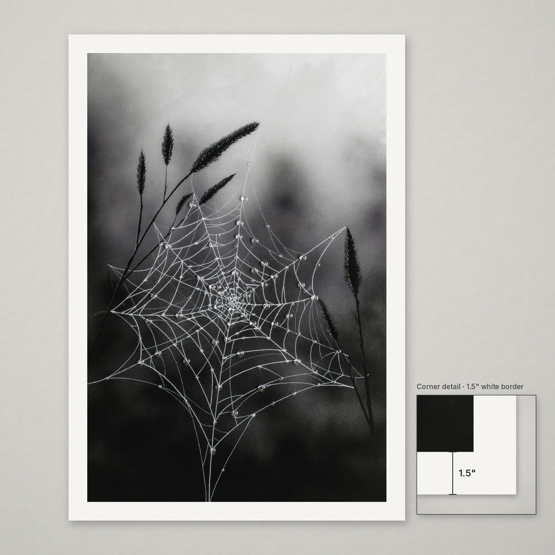 Fragile Beauty – Hand-Embellished Limited Edition on Watercolor Paper