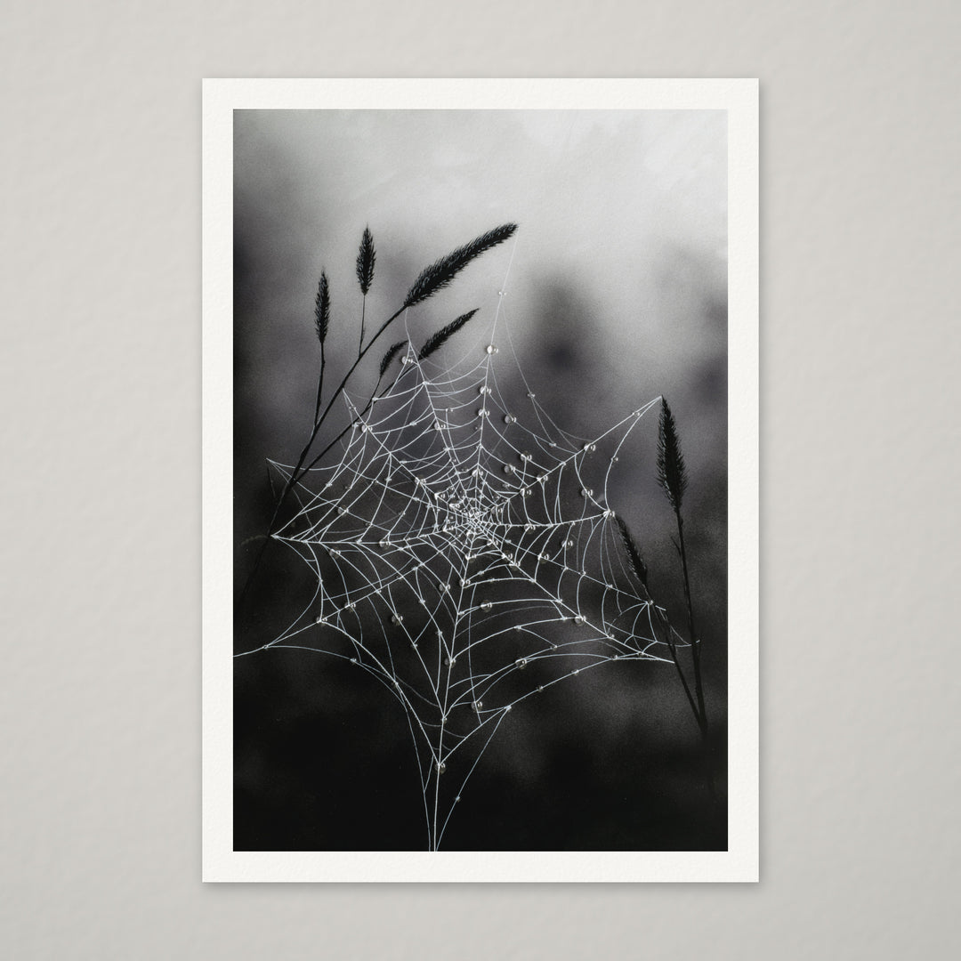 Fragile Beauty – Hand-Embellished Limited Edition on Watercolor Paper