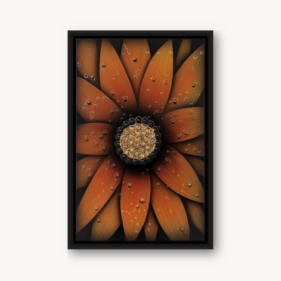 Amber Bloom