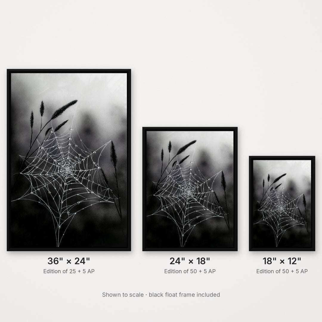Fragile Beauty – Hand-Embellished Limited Edition on Canvas