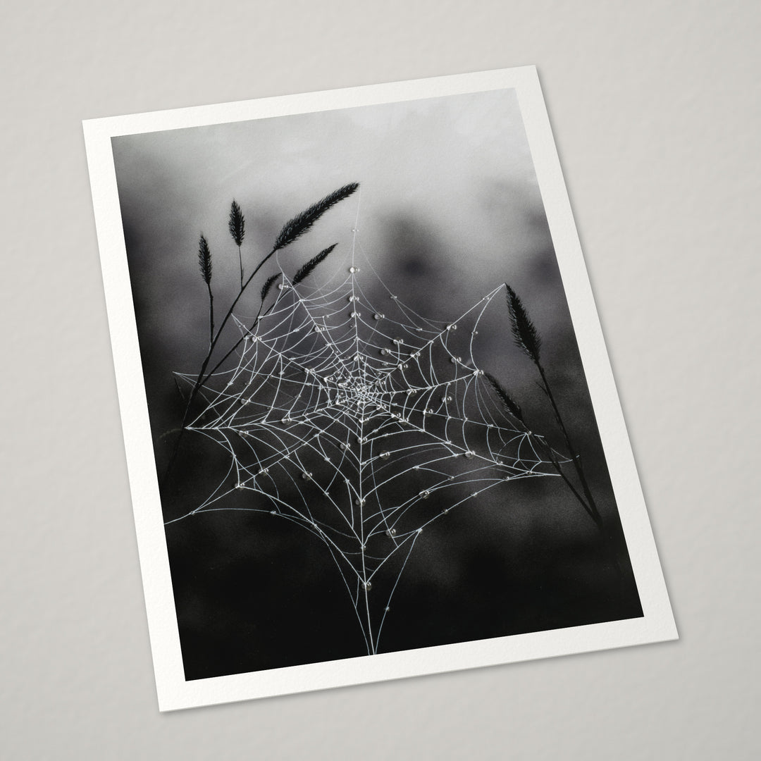 Fragile Beauty – Hand-Embellished Limited Edition on Watercolor Paper