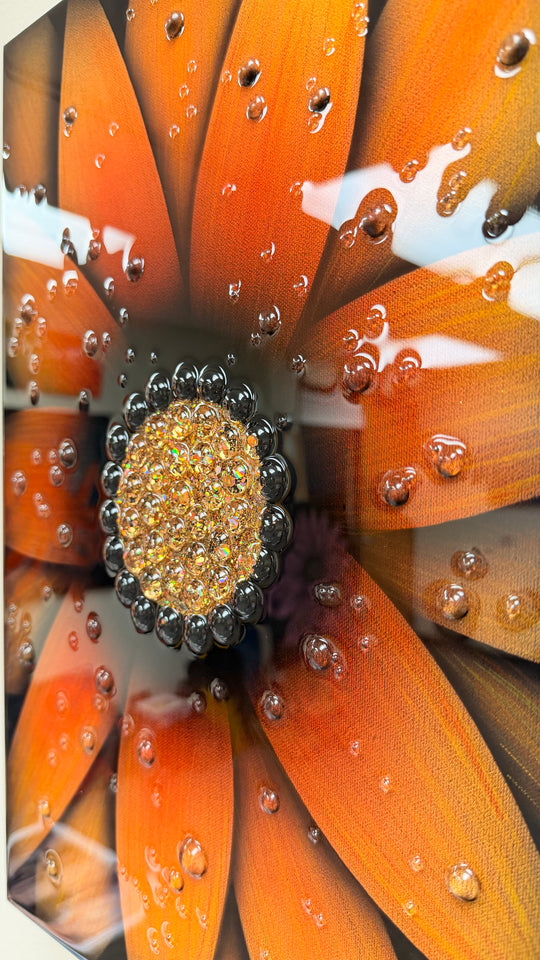 Amber Bloom