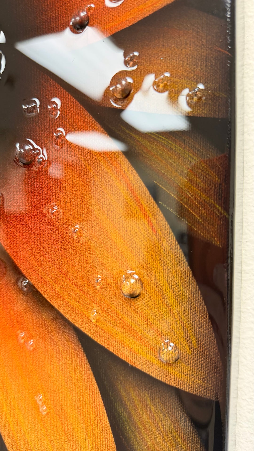 Amber Bloom