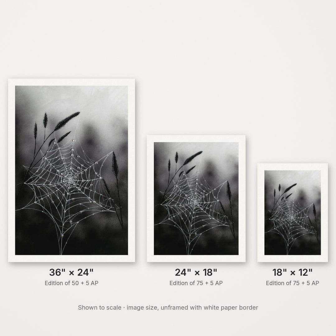 Fragile Beauty – Hand-Embellished Limited Edition on Watercolor Paper