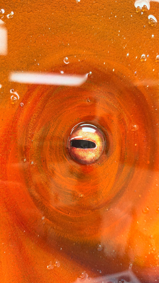 Dancing in the Depths