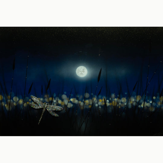 In The Quietude
