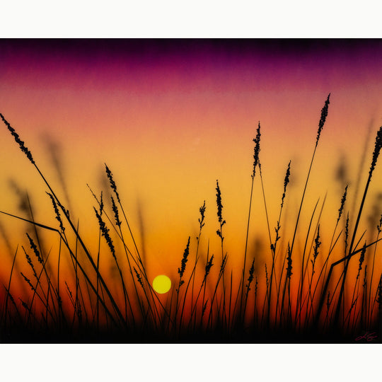Dance Of Color