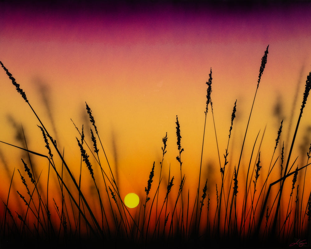 Dance Of Color