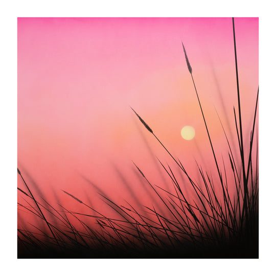 Evening Flame