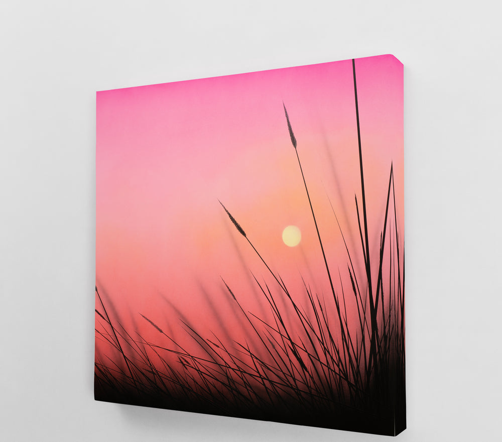 Evening Flame