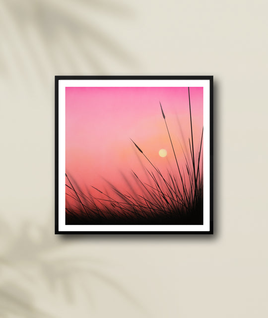 Evening Flame