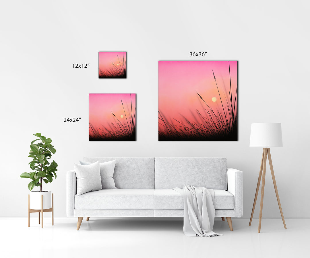 Evening Flame