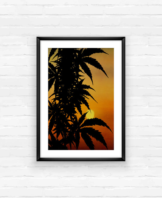 Hippie Trees