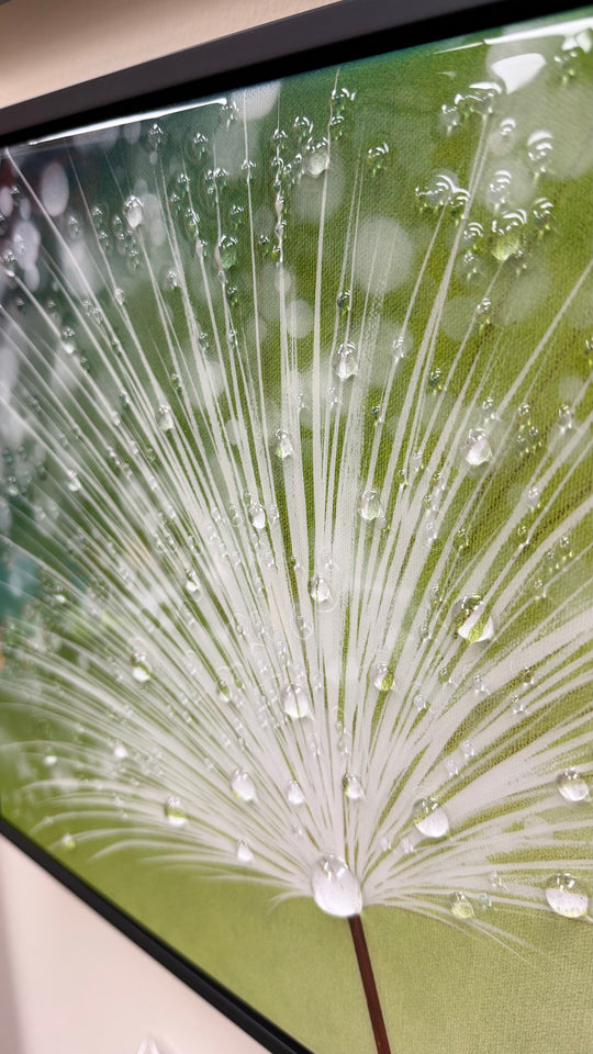 Morning Dew