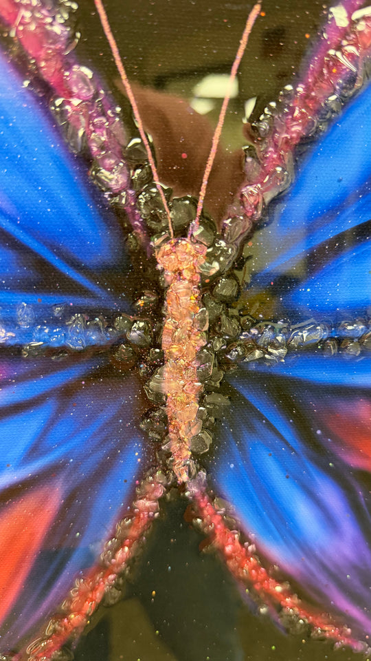 MARIPOSA