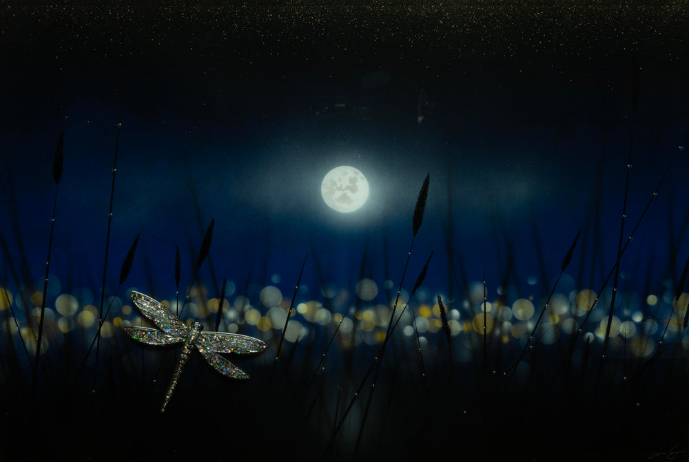 In The Quietude