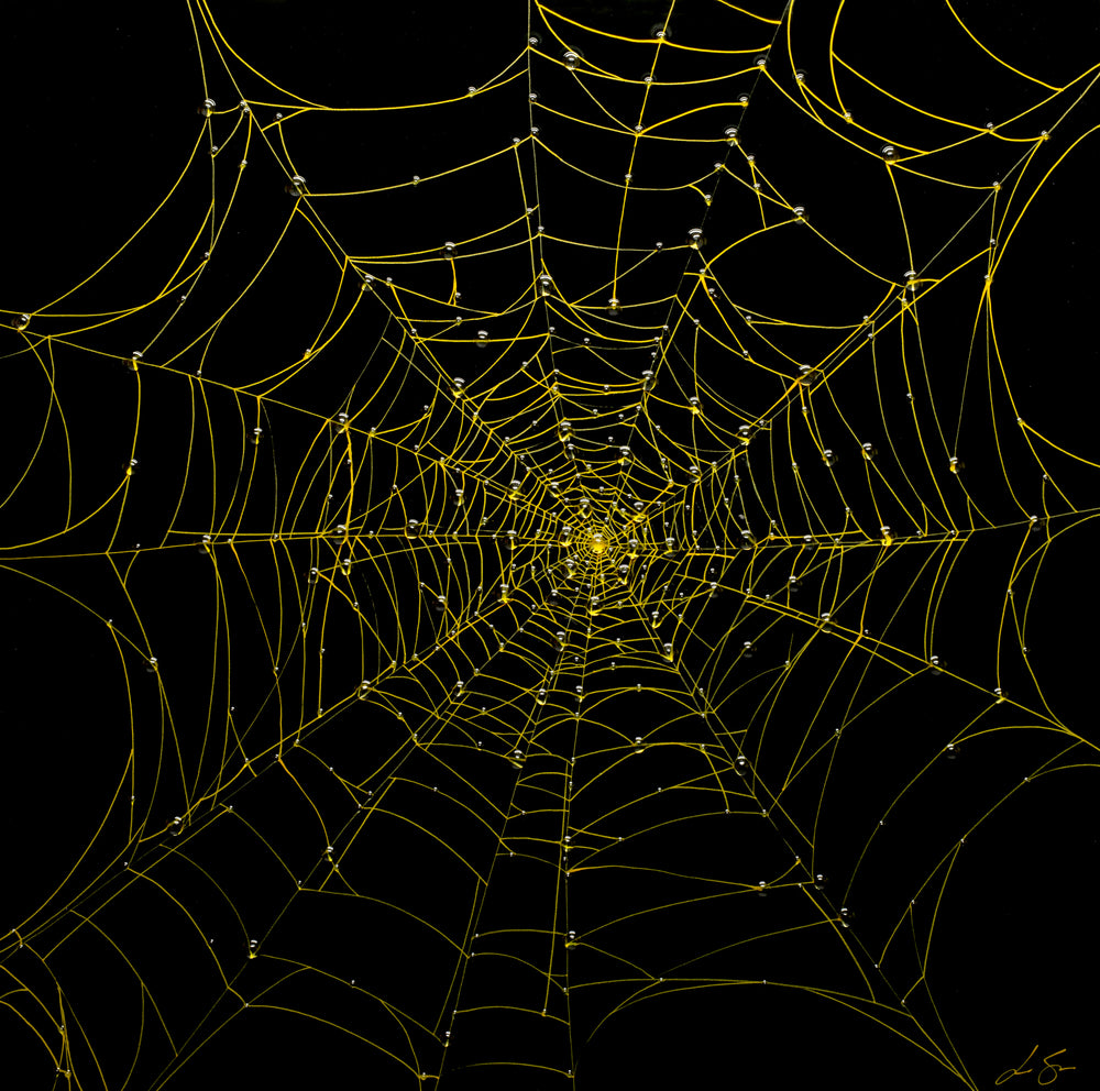 Nocturnal Network