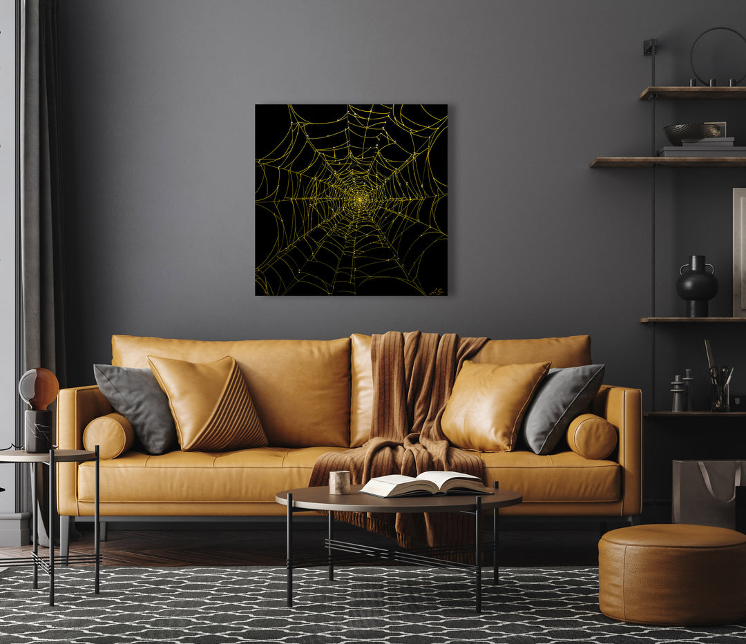 Nocturnal Network