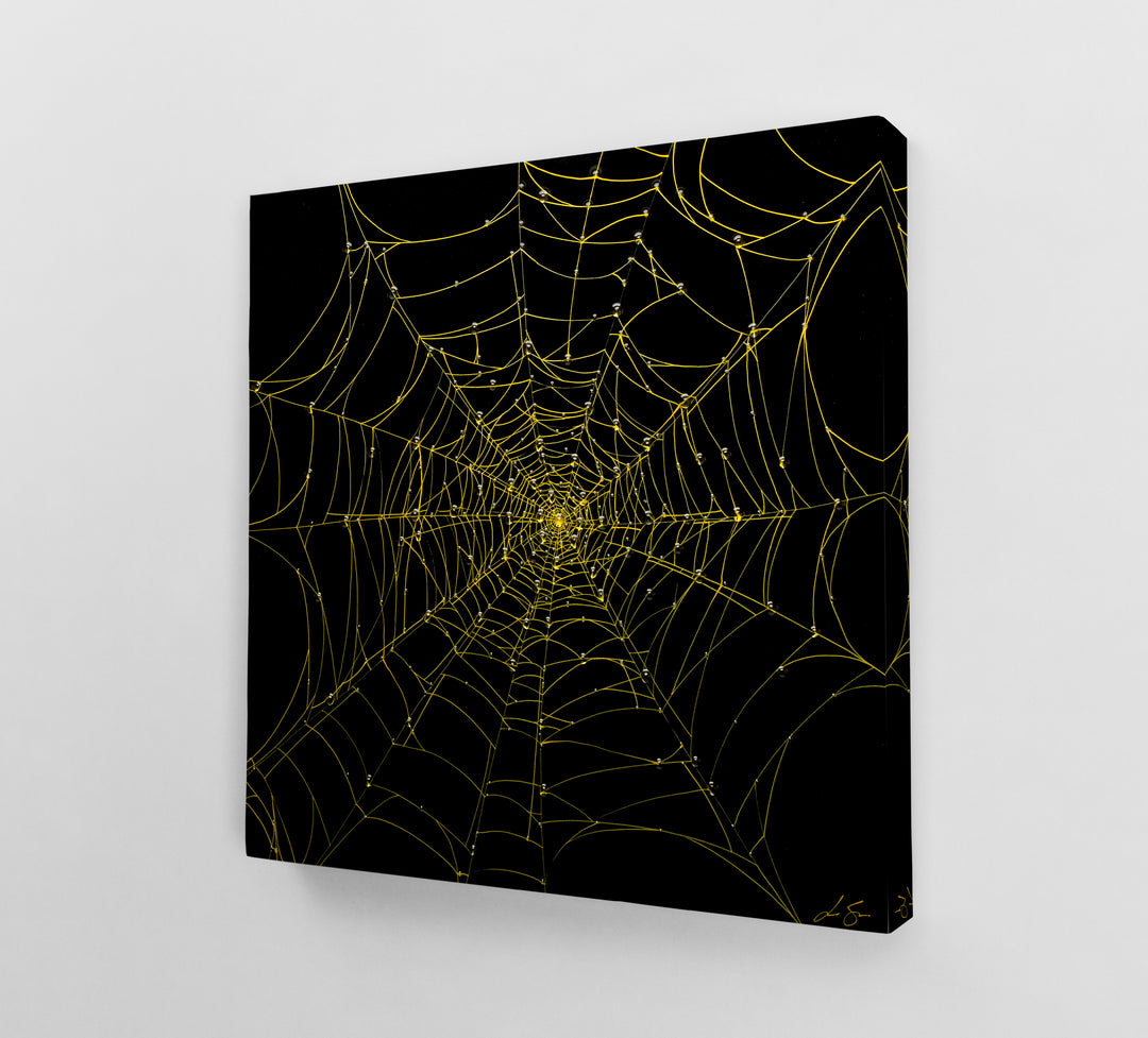 Nocturnal Network