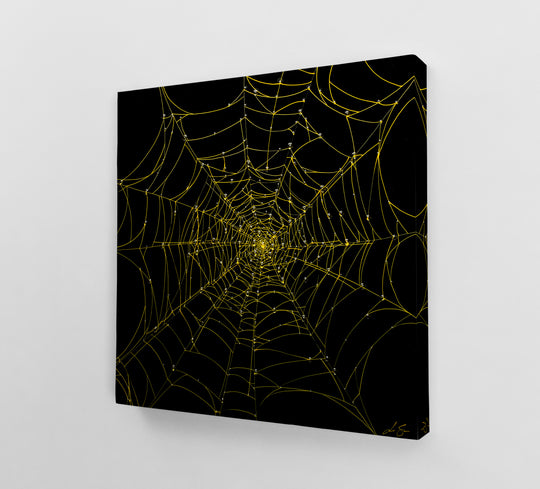 Nocturnal Network