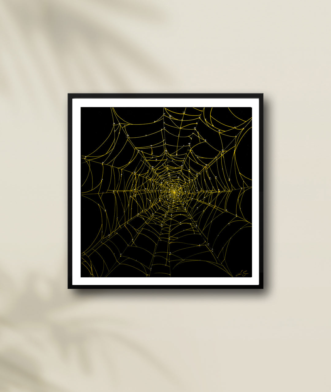 Nocturnal Network