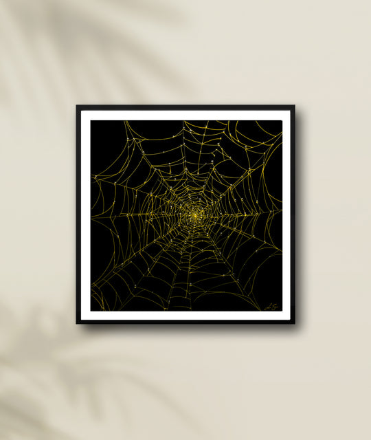 Nocturnal Network