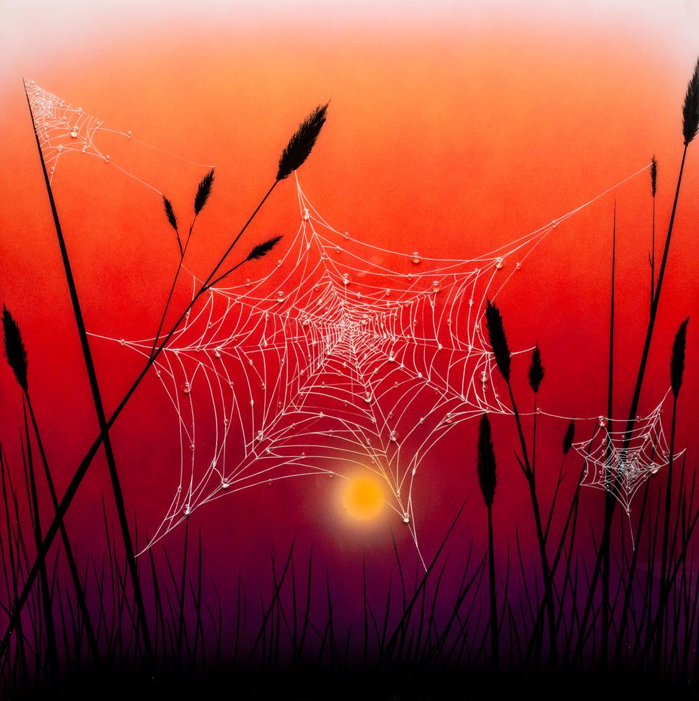 Sundrenched Veils