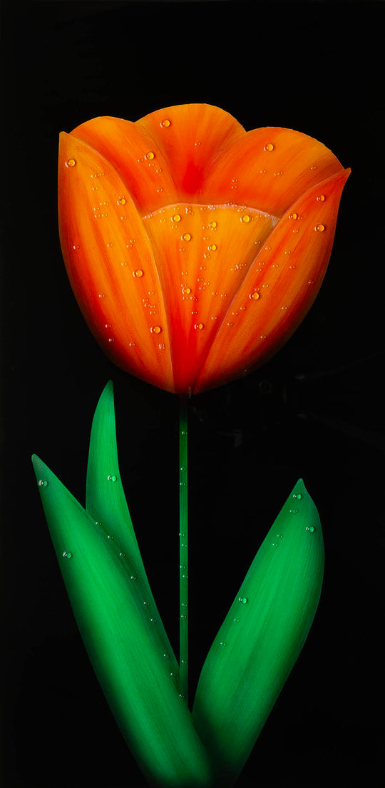 Tulip