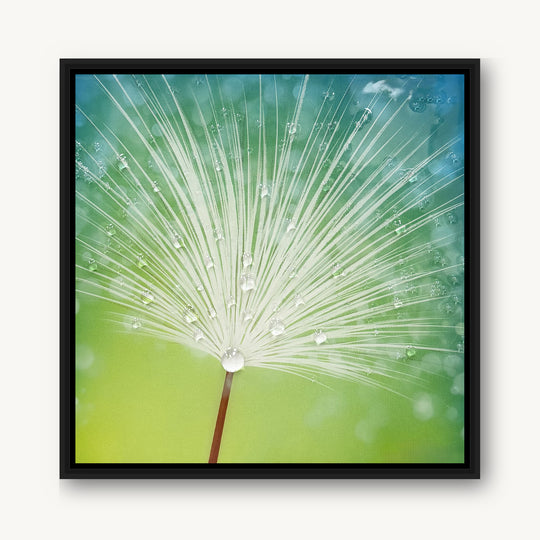 Dew