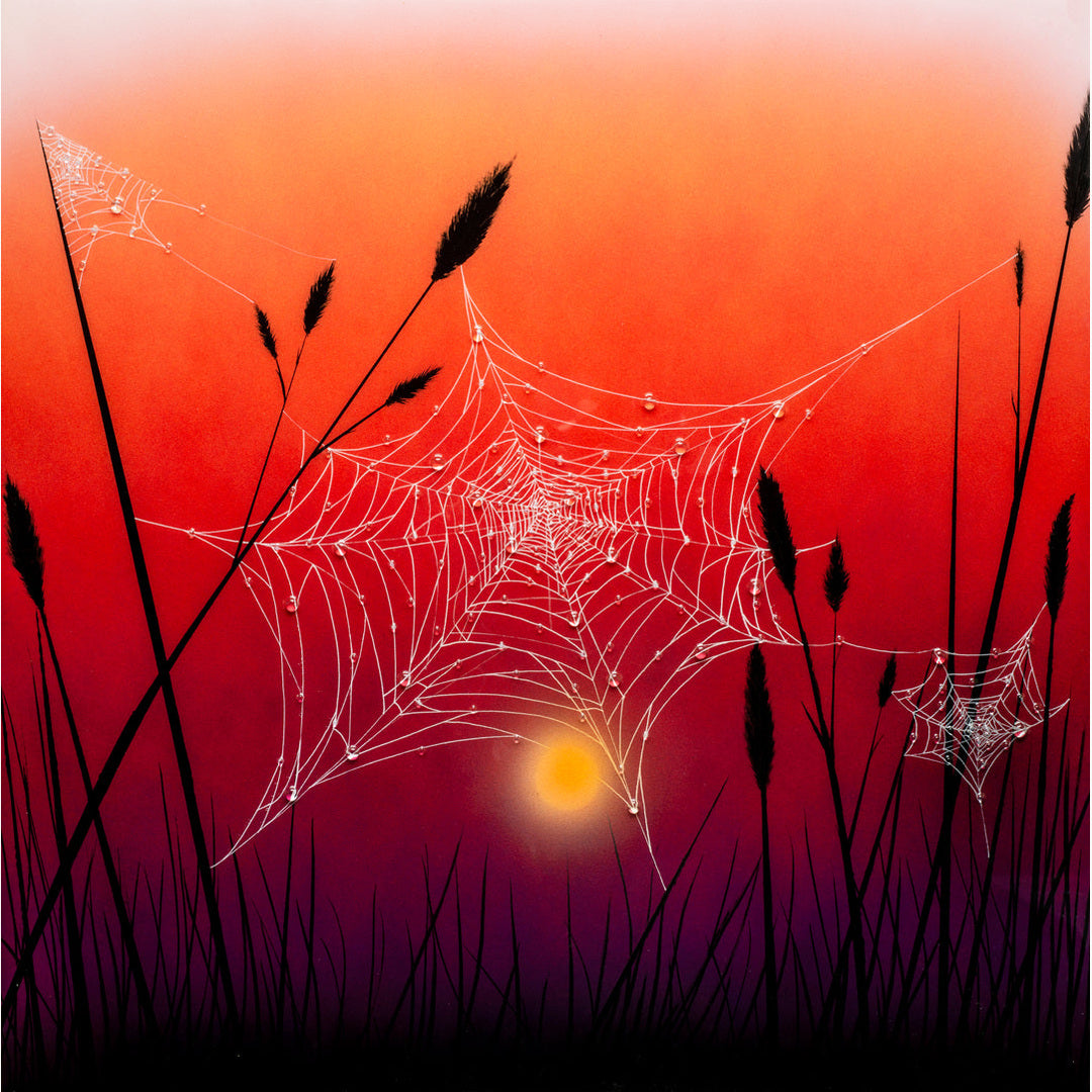 Sundrenched Veils
